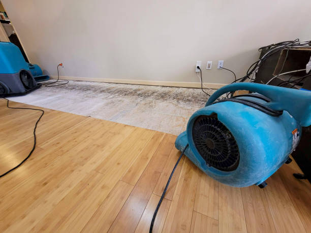 Professional Structural Drying technician working in Axtell, TX